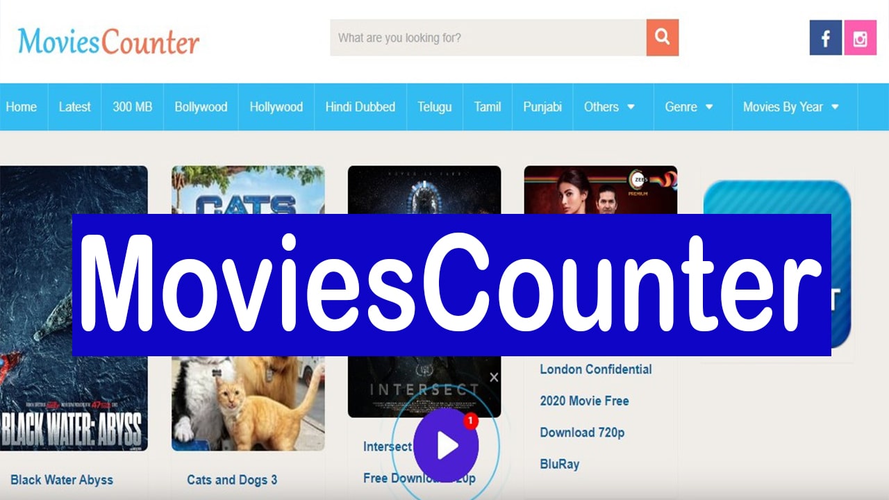 moviescounter download free movies in hindi